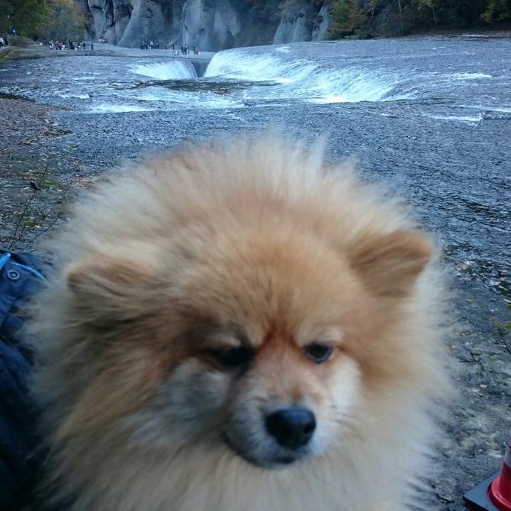 0134e644 df1e 4b09 a088 e0b5337a24d4