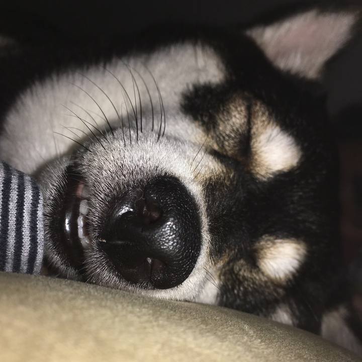 0134ed09 b9ce 490a 9d04 ea6621ad2370