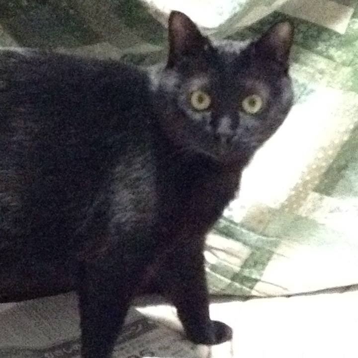 01350b9a 488f 45ec 875a 19d9807e34e7