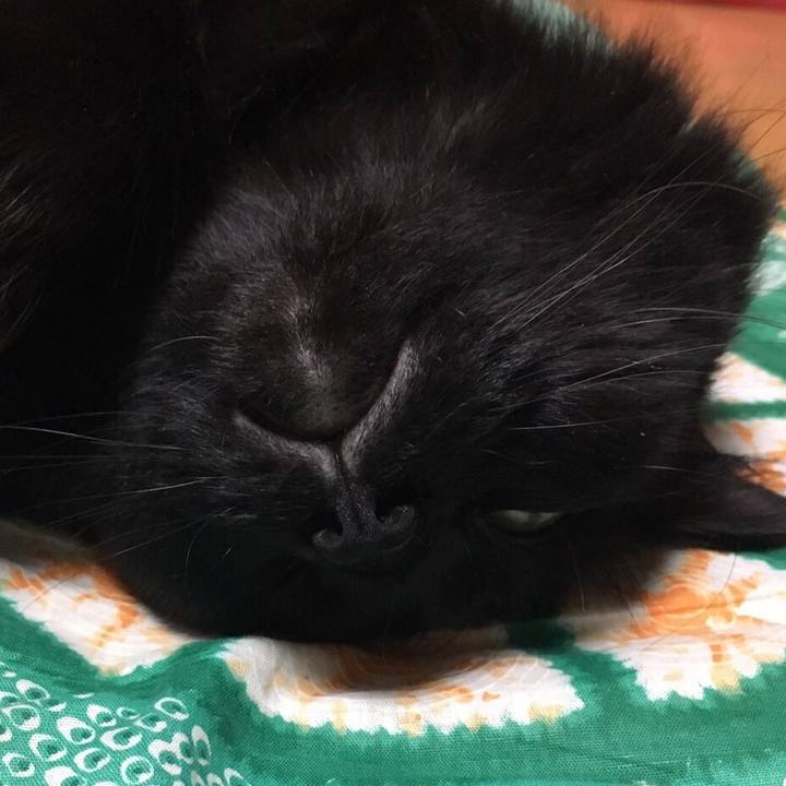 01352325 26a4 4c36 8758 7e0e8d834183