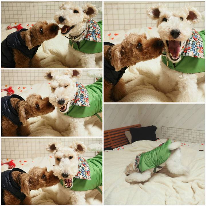 013592bf b88a 4839 a425 697054276723