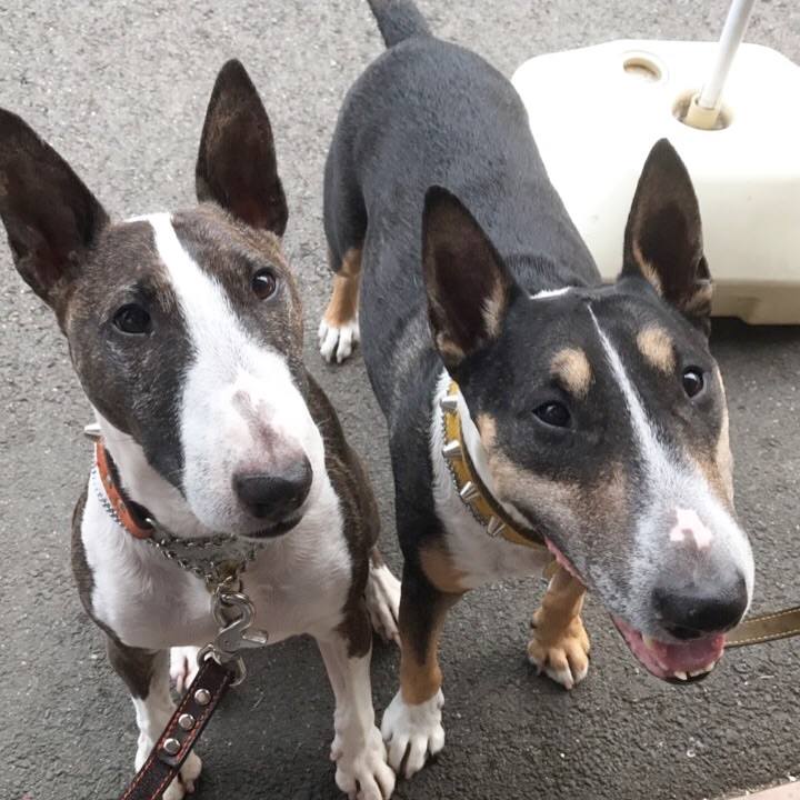 0135ccdd c308 41a2 b215 474b34602265