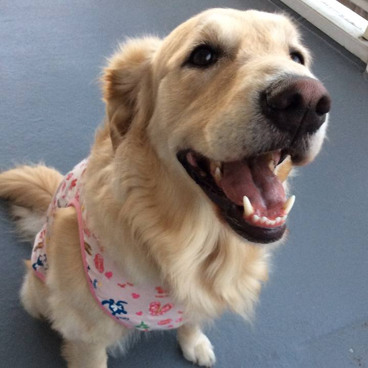 0135edbb 9188 46db 9501 412ed5100a55