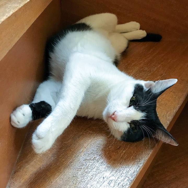 013687a3 da5c 4f35 aae8 25028f973e6b