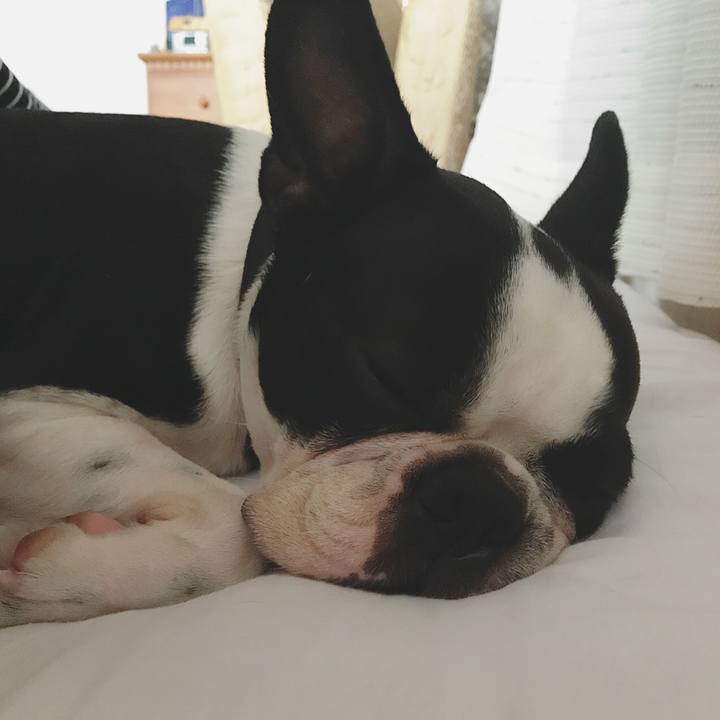 0136f40e 3455 4aab 96d8 2b183daa6f2a