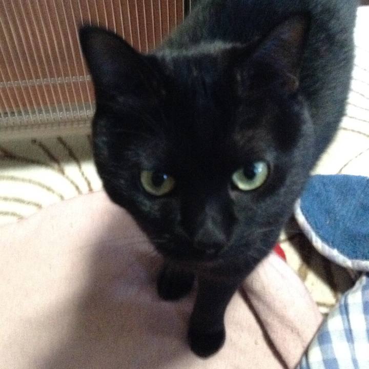 0136fee1 53f4 4a99 8d0a 7ea1f96ef9d8