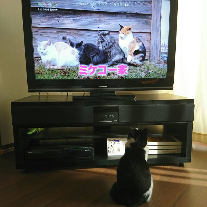 01372b00 c9d9 4c04 821d c6bd8e902586