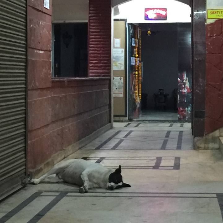 01374c0d 8853 43f7 8e09 95f6b3207a53