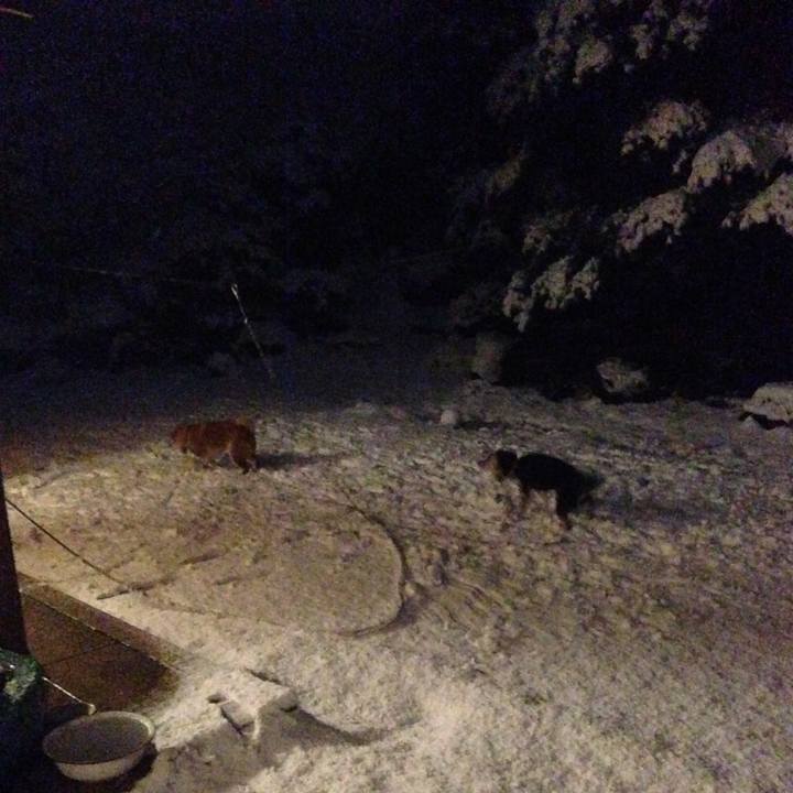 01375a83 e743 4347 af12 4cef48a91c6e