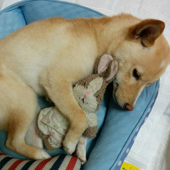 0137cec0 70a5 433e 9c16 8cd5e80a9cf7