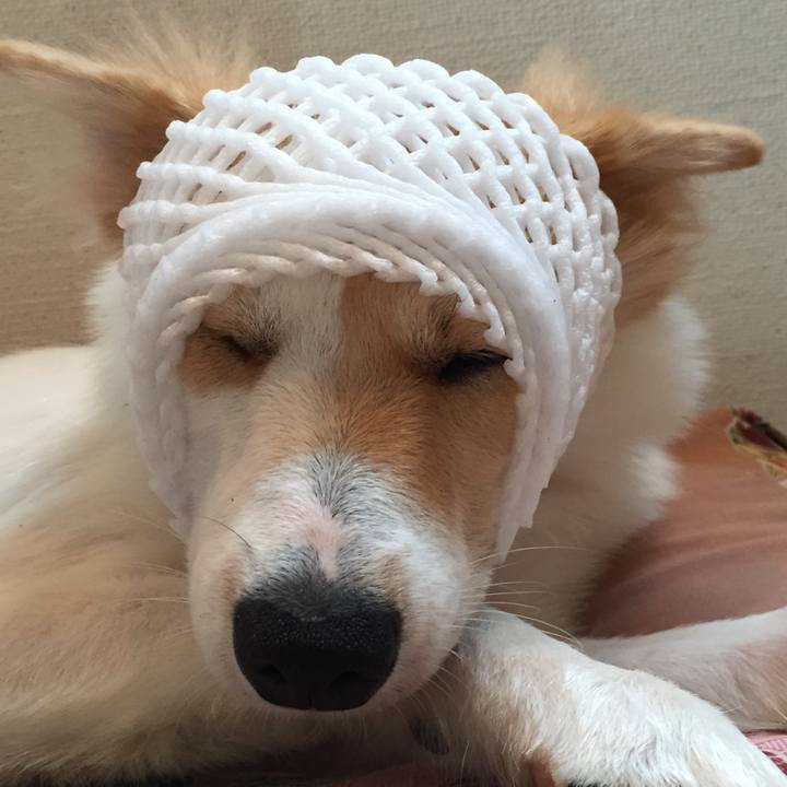 0137d117 e264 474e 862e 71b95ed20d94