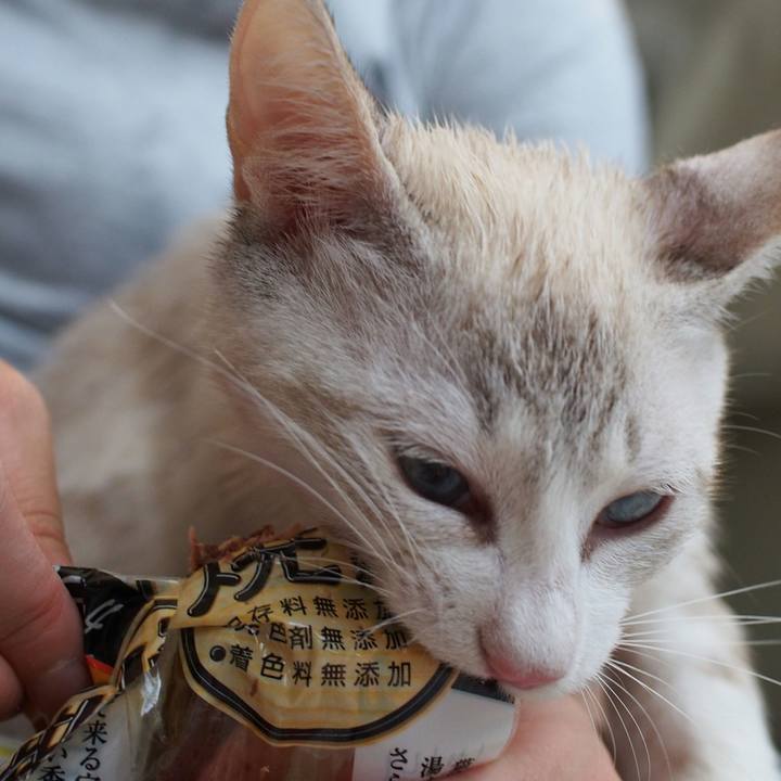 0137d9c6 d509 4686 b470 511027d8c0be