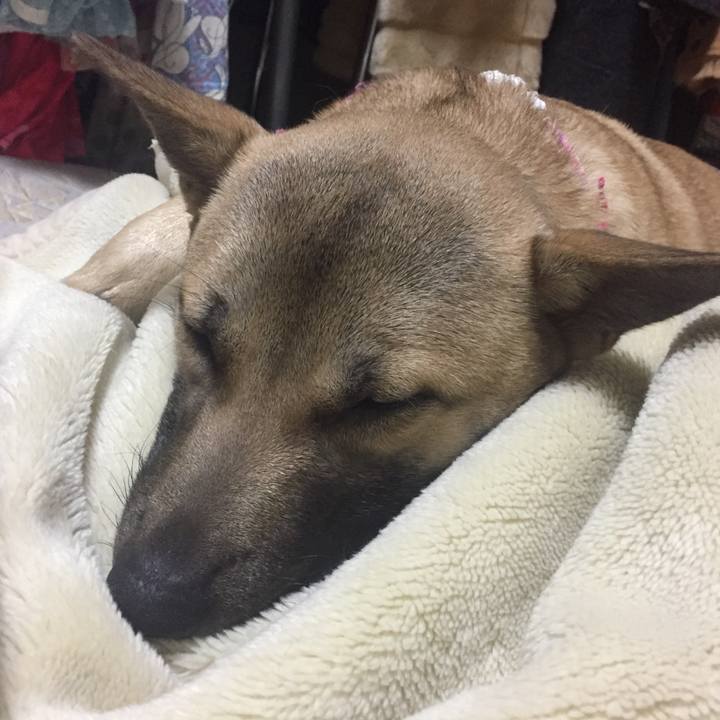 0137e1c9 5d46 4caf b6c7 6dfcc5e04783