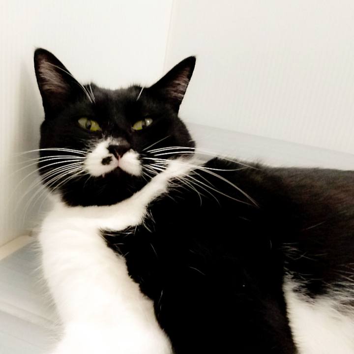 01383c38 bbef 4a2d a9b7 810529eb476a