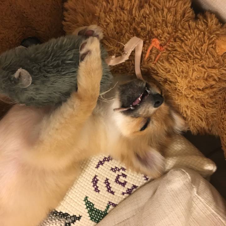 0138b61b 423c 46cc 9a1c 9233cb812a56