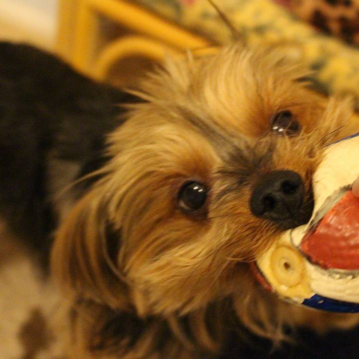 013931c5 b385 4540 9877 a25f97b962b2