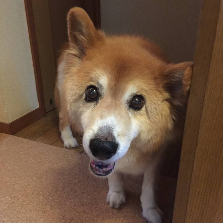 01395079 a4a6 4579 a7e3 4ace78d3374e