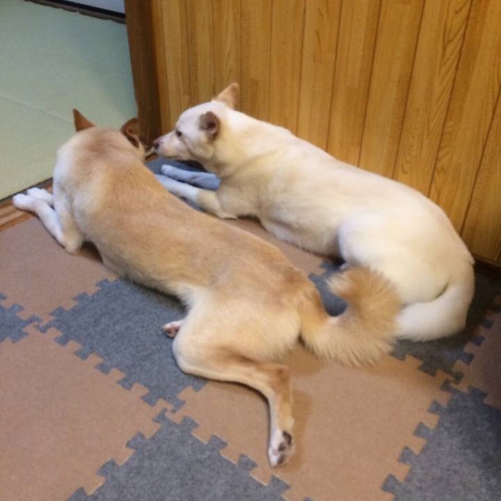 0139bd47 3869 4ce9 92b4 67255a3268af