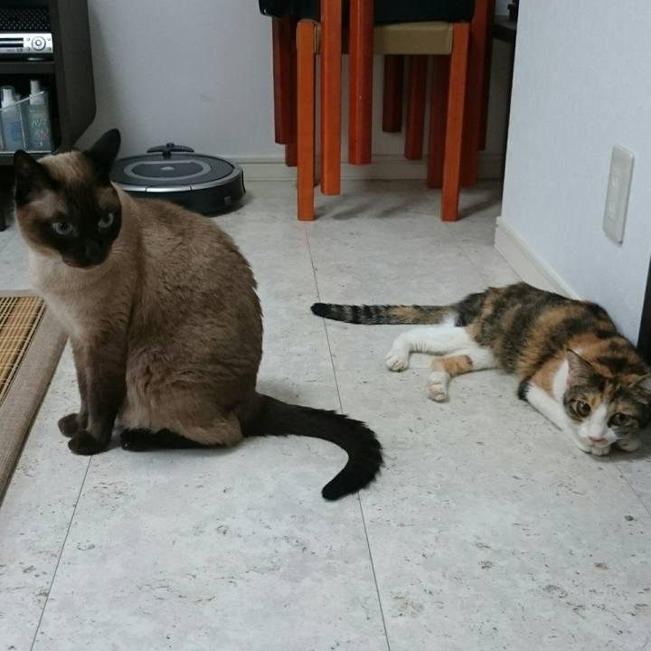 0139bdb9 136a 47f5 800c 5967bde91f54