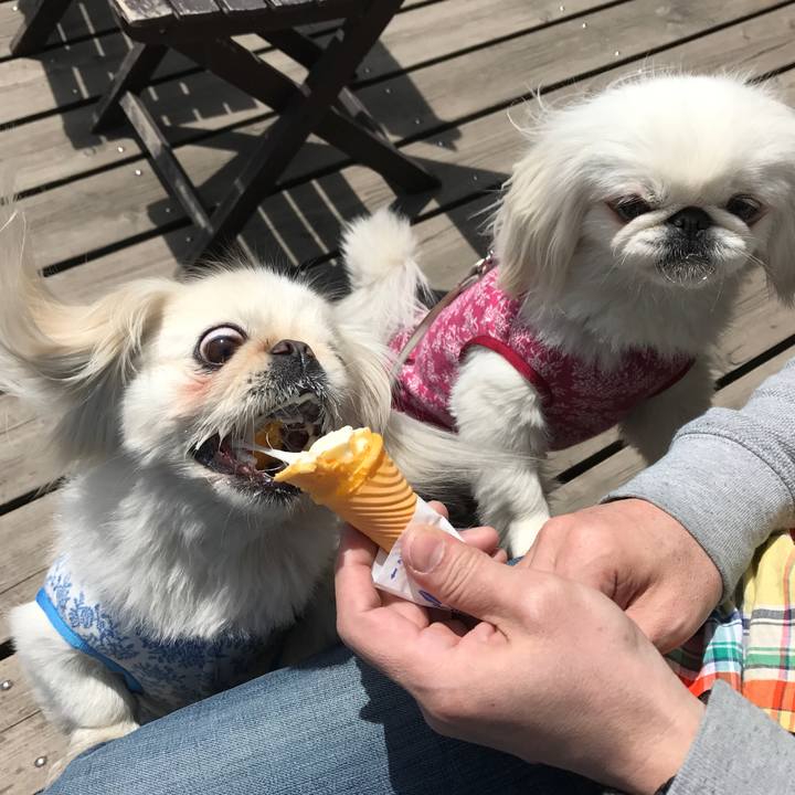 0139c21f fd1c 4307 9ca8 2d50df436737