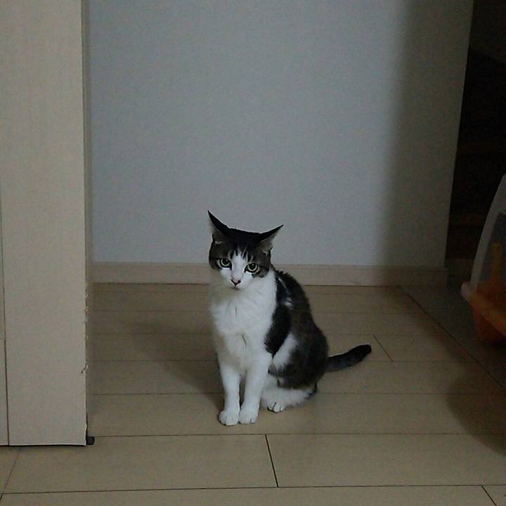 0139cc78 0c0f 4967 93f0 fe3cfe99aa65