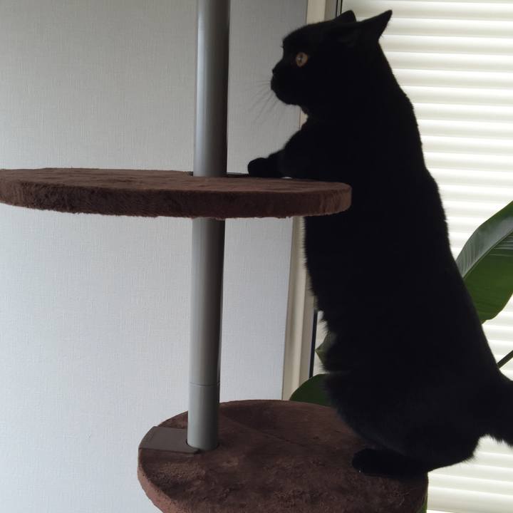 013a2405 b763 412d 8da5 4589f3527250