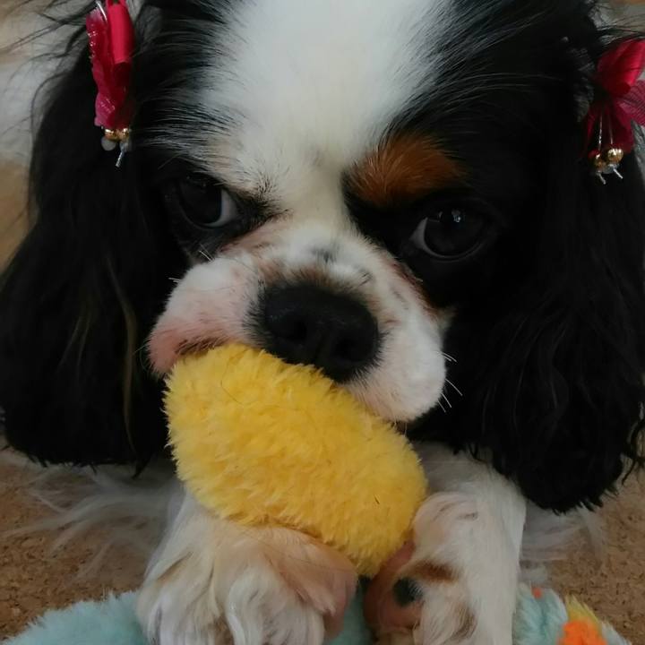 013a9a7b cd53 4234 93e9 380c06979111