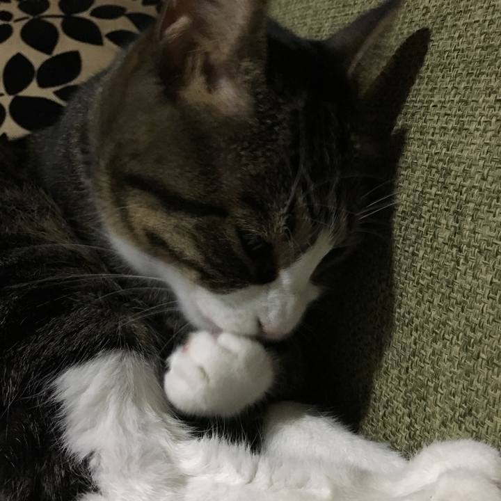 013be011 abd8 4e3f 80ce 2598ade49005