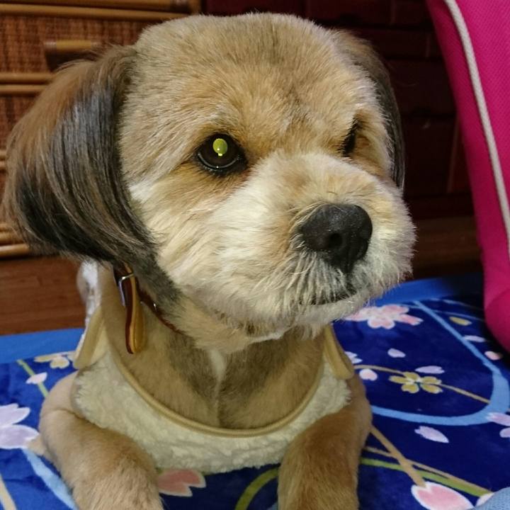 013c076d f0db 4131 b608 f0c632037036