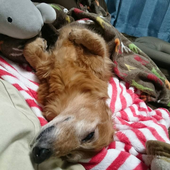 013c2a21 2030 43f9 aeca 14b4a8af5809