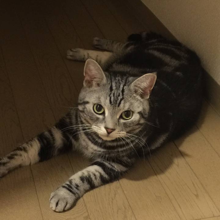 013c4233 aba0 46a9 8b31 a8f30c3ac5df