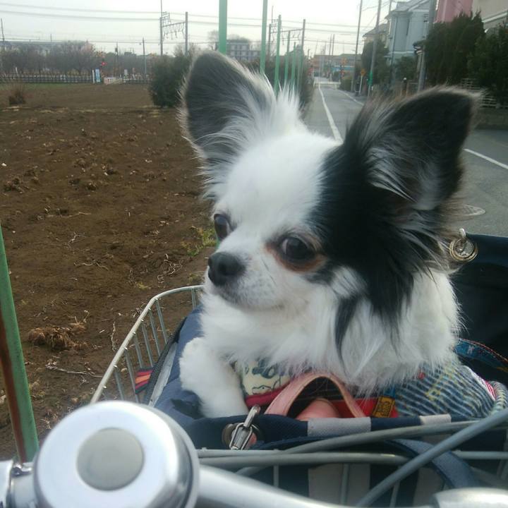 013cab59 2403 492b 8cb7 ab2af0f362d8