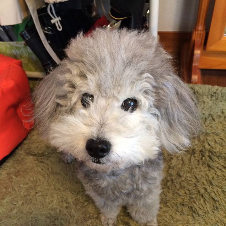 013cb575 03f5 4879 ae1e 2be7dc294fe8