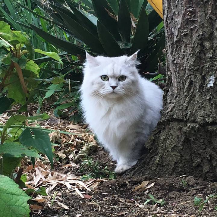 013cc430 8f14 496a bea3 8b0ca42c9b4e