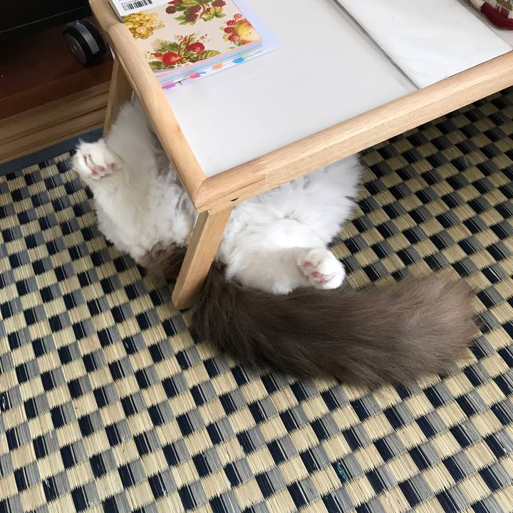 013cf390 a486 4b08 9d65 4d25127a3320