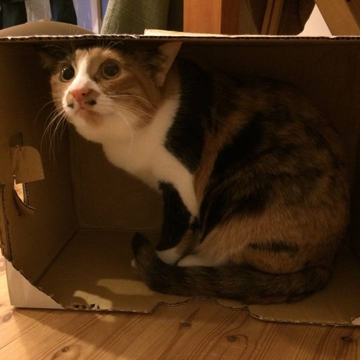 013cfe53 659e 491b 90e6 2baf3f91e7a1