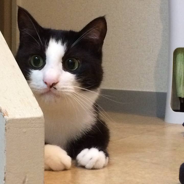 013d0e6a 2f89 4f96 8b77 a06e10fd1136