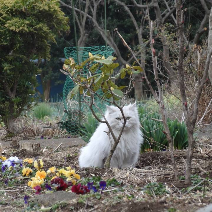 013d3bab ea44 4cbd 87cc d25cf99d2668