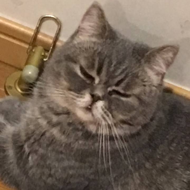 013e6cd2 765f 4d3e bbb9 8f8bc6068afa