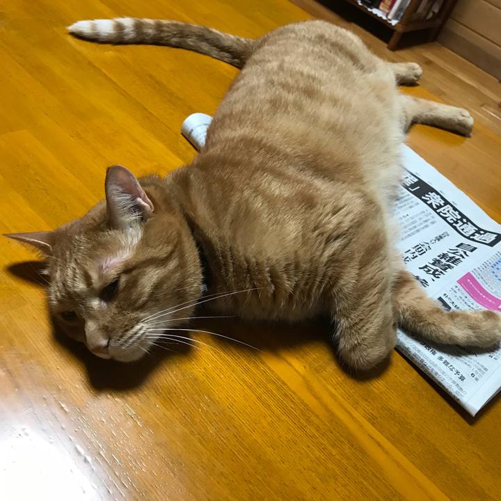 013f69db 676c 4560 86e7 bb518add5cb3