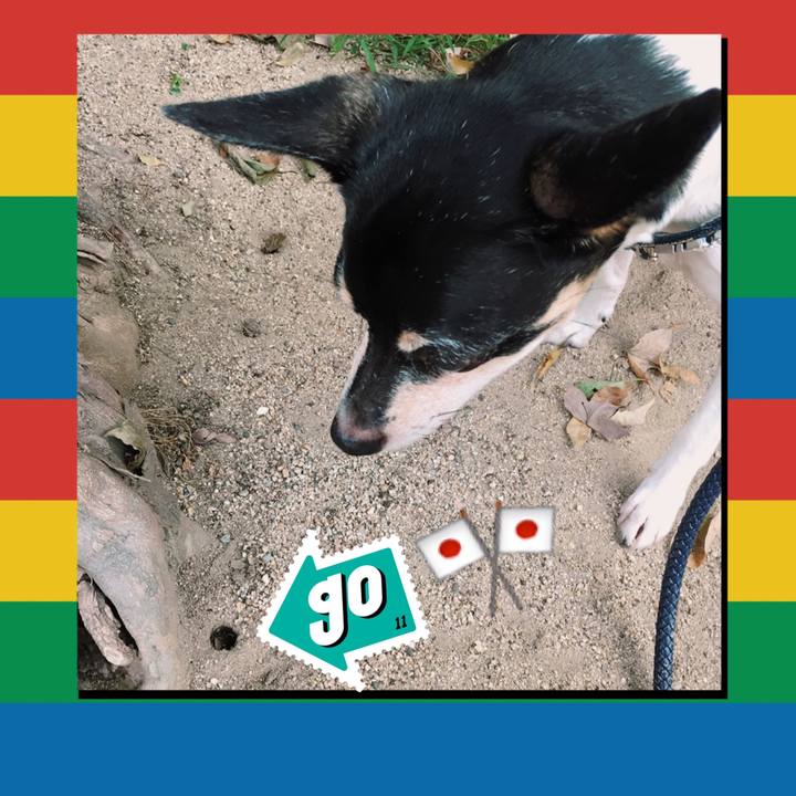 013f80fd af7f 46c6 ae42 cc282add86ac