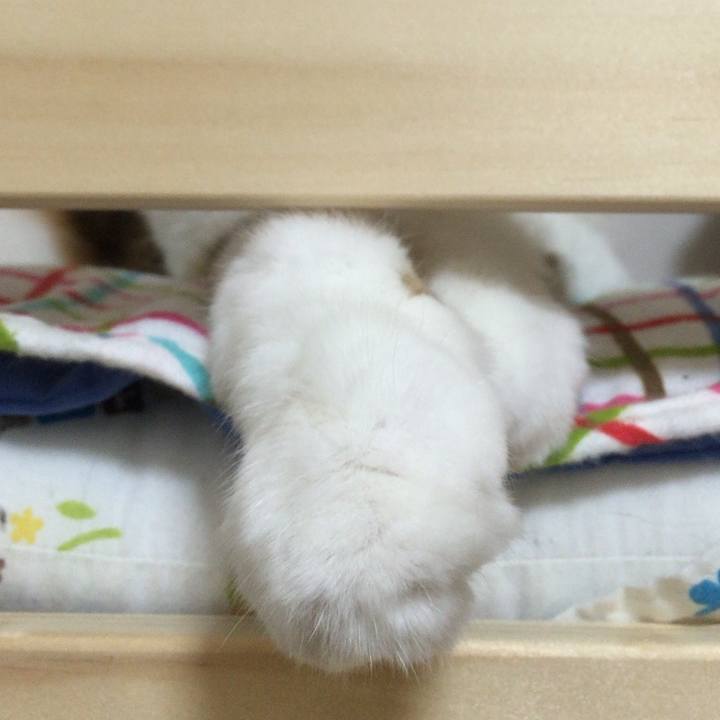 013fdcb2 4216 497d b3d4 d7ae0cf7835e