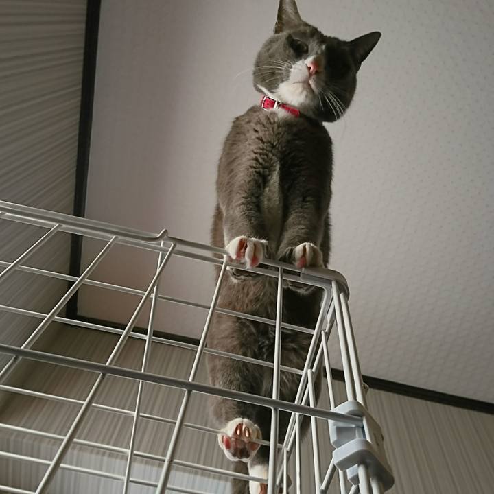 0140c131 317e 4c4d 9696 febe2d36366d