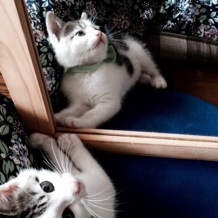 0140d22c 18f8 470f 93bd c022ca0162b1