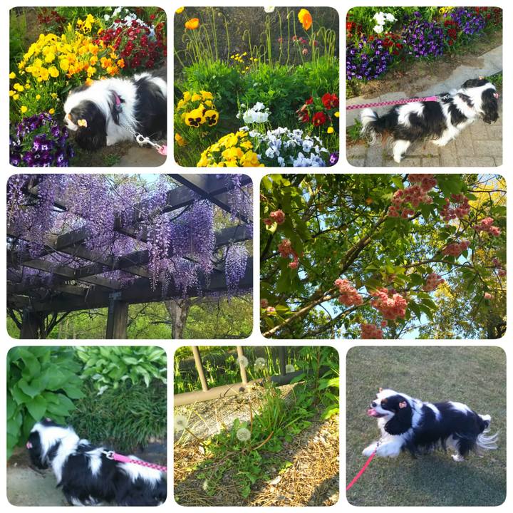 0140db5f 5f9b 4bc4 aa62 024f260e14b4