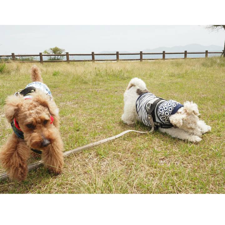 01411d39 8a42 4227 9e1f 53641263cc24