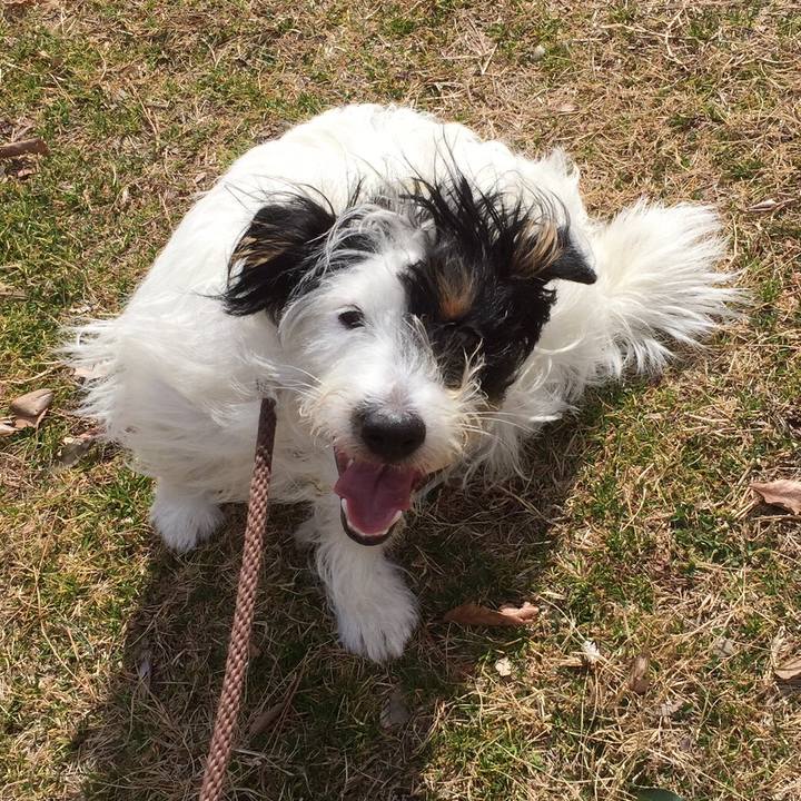 0141b13b 2ce8 49d7 8765 8752cd550d15