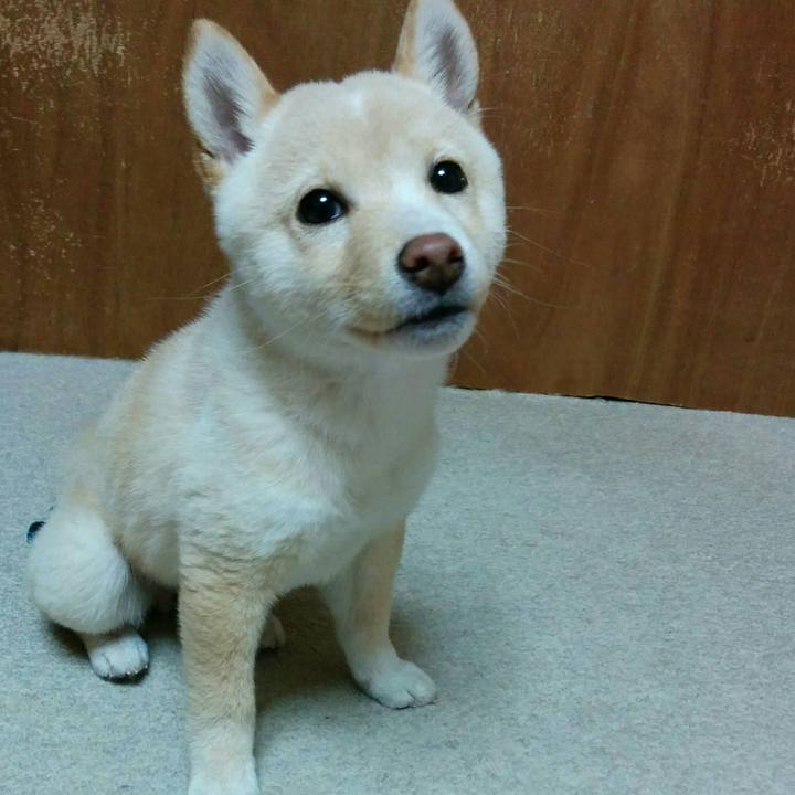 01420e98 4aac 4d64 8803 b3ad5bfd66fb