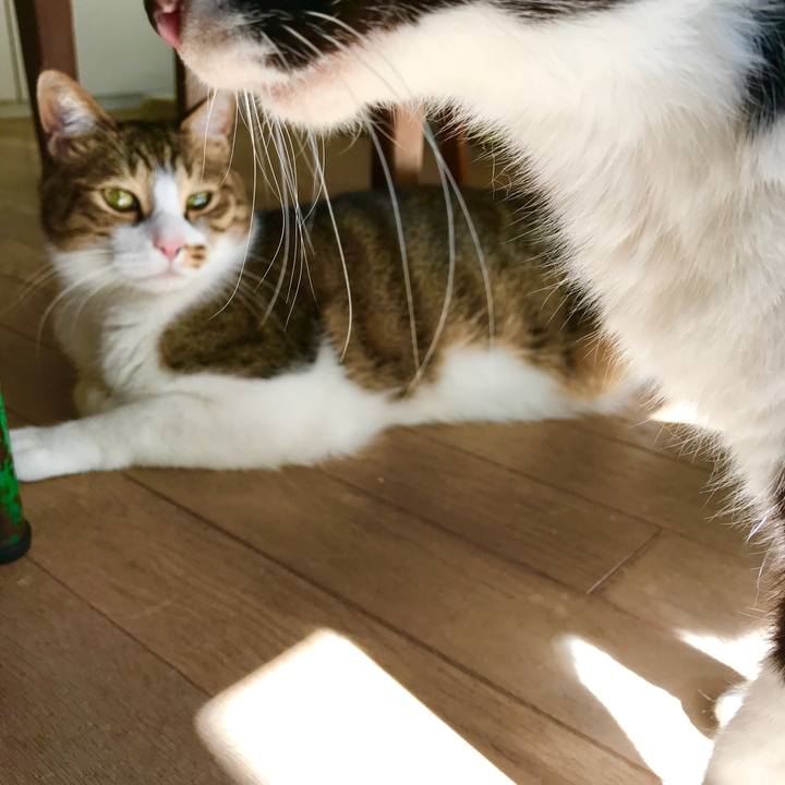 014265cd 7260 4939 8b39 bb70942cbe3e