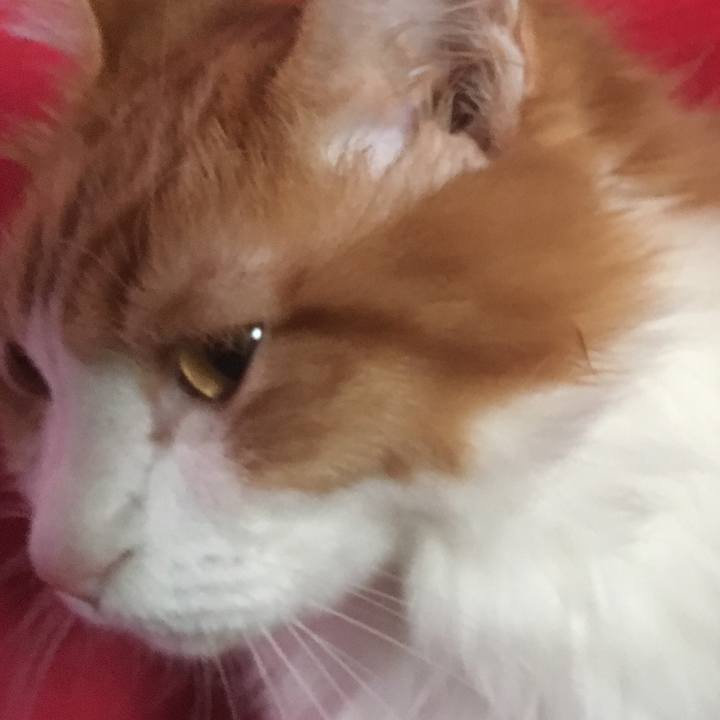 0142ab65 c486 4178 b759 e097fcb36168